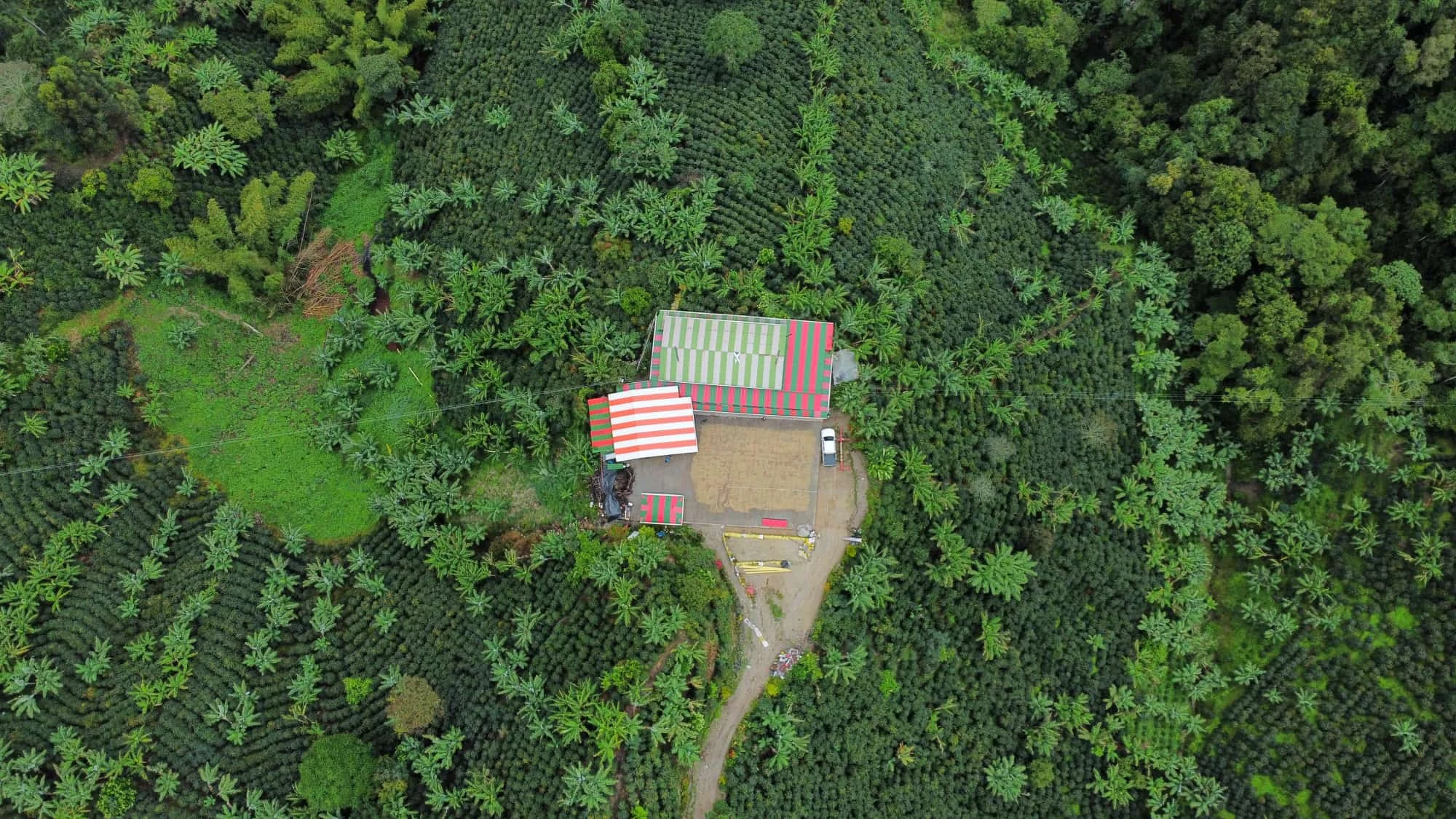 Vista aérea de una finca cafetera en Tolima