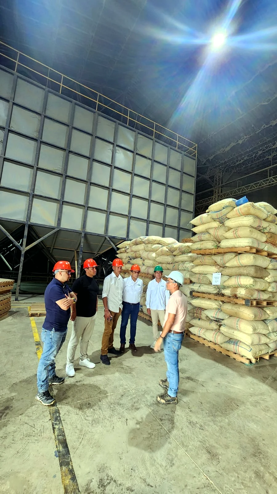 Archivo ANASUR: Preparación y exportación